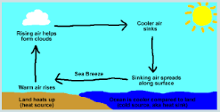 <p>What causes a sea breeze to keep a beach cool during the hottest part of the day?</p>