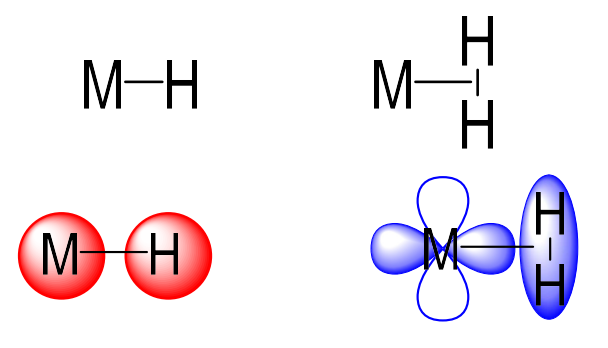<p>σ-lone pair donor (X type) or as dihydrogen (L type)</p>