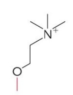 <p>Name this glycerophospholipid</p>
