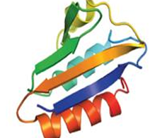 <p>What type of model is this</p>