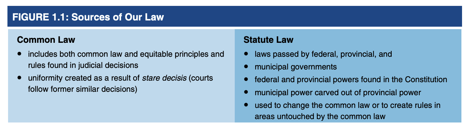 <p>Statute law, or legislation, is the body of law made by our government representatives in the federal Parliament, provincial legislature, or municipal council. </p>