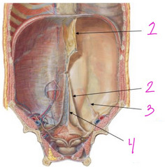 <p>#2</p>