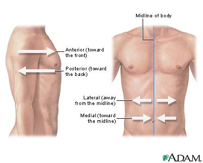 <p>AWAY from the midline of the body</p>