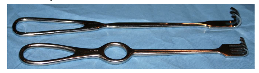 <p>Rake Retractors (Volkmann Rake Retractor)</p>