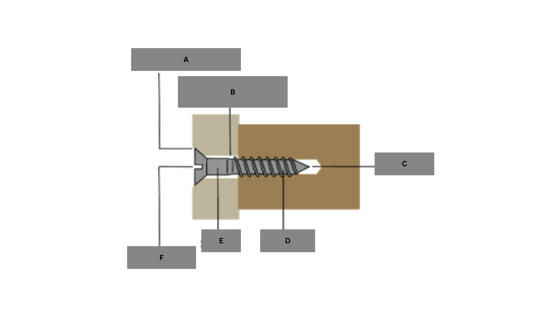 <p>Label this image:</p>