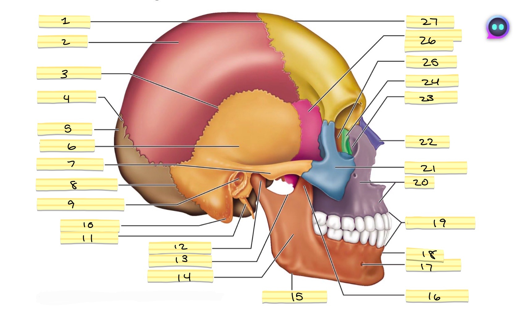 <p>17</p>