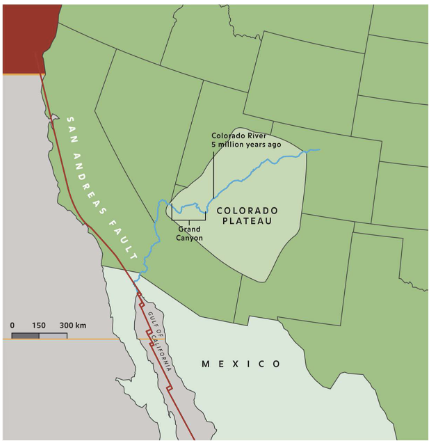<p>• ~70 Million years ago plate tectonic caused Colorado plateau to rise</p><p>• ~5M years ago, Gulf of California opened up &amp; lowered the river’s base</p><p>• Delta in elevation formed</p>