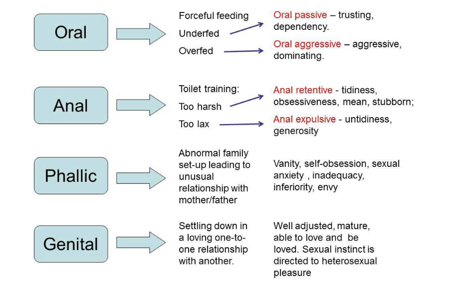 <ol><li><p>oral </p></li><li><p>anal</p></li><li><p>phasic </p></li><li><p>latent </p></li><li><p>genital</p></li></ol><p></p>