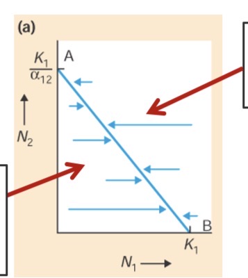 <p>What two factors are limiting growth and decline of population growth at this isocline, and which species is this outlined for?</p>