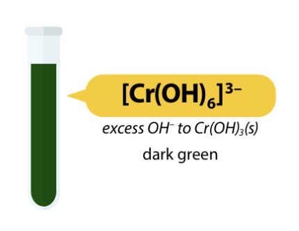 <ul><li><p>[Cr(H2O)6]3+ (aq) + 3NH3 (aq) (dropwise) → [Cr(OH)3(H3O)3] (s) + 3NH4+ (aq)</p></li><li><p>Pale purple solution → Dark green solution</p></li><li><p>Soluble in excess HN3 (aq):</p></li><li><p>[Cr(OH)3(H20)3] (s) + 6NH3 (aq) —> [Cr(NH3)6]3+ (aq) + 3H2O (l) + 3OH- (aq) (purple solution)</p></li></ul><p></p>
