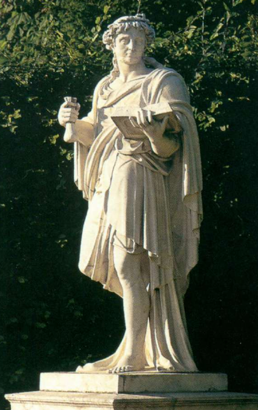 term image