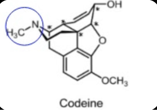 <p>Buprenorphine is the strongest.</p>