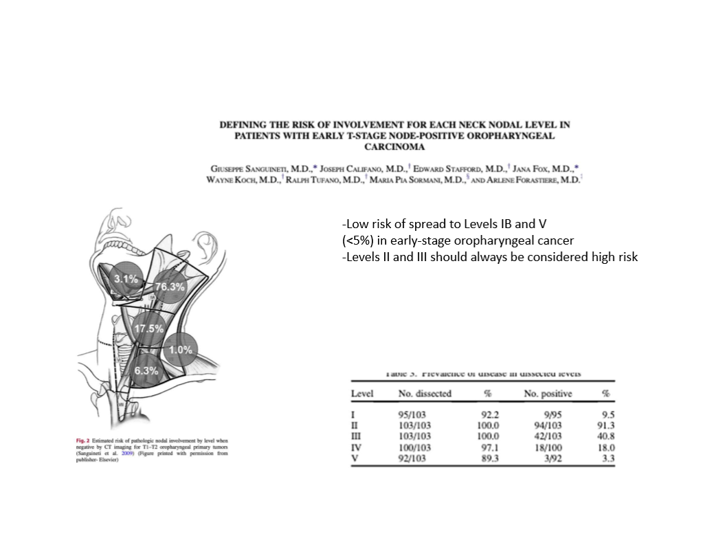 <p>levels II and III</p>