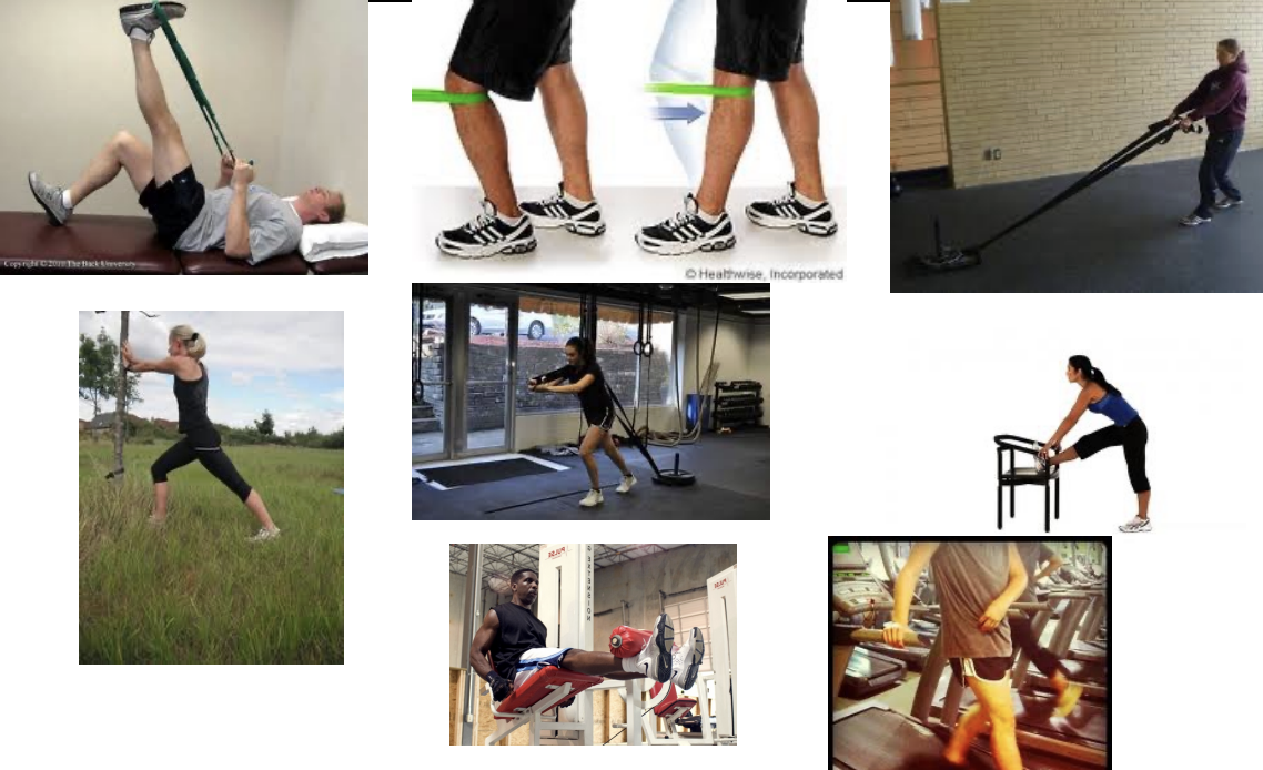 <ul><li><p>mobilize, stretch, exercise (example) </p></li><li><p>mobilize </p><ul><li><p>patella mobs, femur dorsal glides/tibial anterior glides (**if indicated**) soft tissue/scar mobilizations </p></li></ul></li><li><p>Stretch </p><ul><li><p>hamstrings, gastrocs/soleus, hip flexors </p></li></ul></li><li><p>exercise </p><ul><li><p>promote desired movements </p></li><li><p>use synergist </p></li><li><p>knee and hip exteners </p></li><li><p>standing TKEs </p></li></ul></li></ul><p></p>