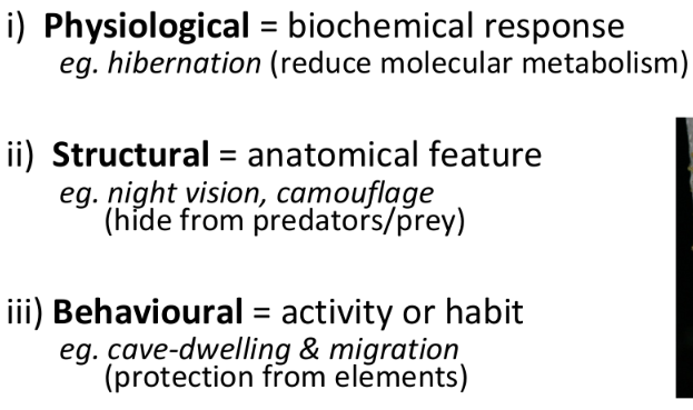 <p>Physiological</p><ul><li><p>Effects internal processes</p></li></ul><p>Behavioural</p><ul><li><p>Effects behaviour</p></li></ul><p>Structural </p><ul><li><p>Effects outer composition</p></li></ul><p></p>