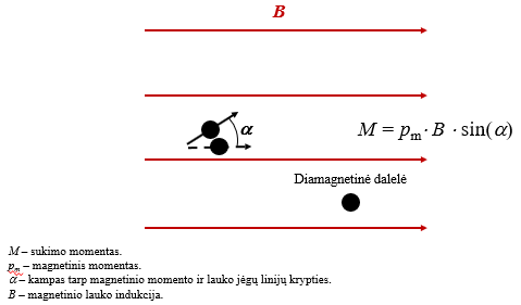 <p>sukimo jėgos momentas M, orientuojantis jį išilgai lauko jėgų linijų</p>