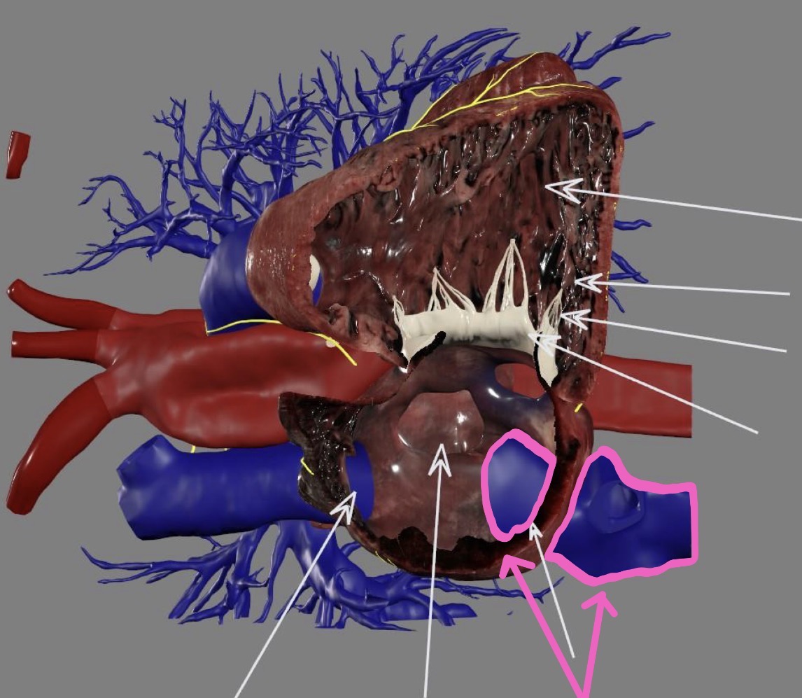 <p>What’s the highlighted area?</p>