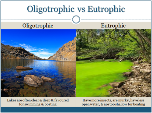 <p><span>Water characterized by an abundant accumulation of nutrients that support a dense growth of algae and other organisms- high productivity, usually low O2</span></p>