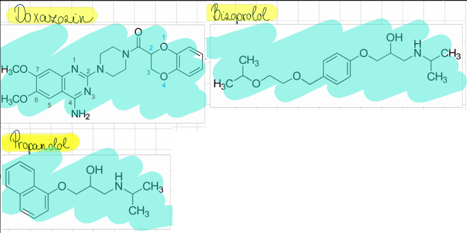 <p>doxazozin (Cardura) <br>propranolol (Huma-pronol) <br>bizoprolol (Concor)</p>