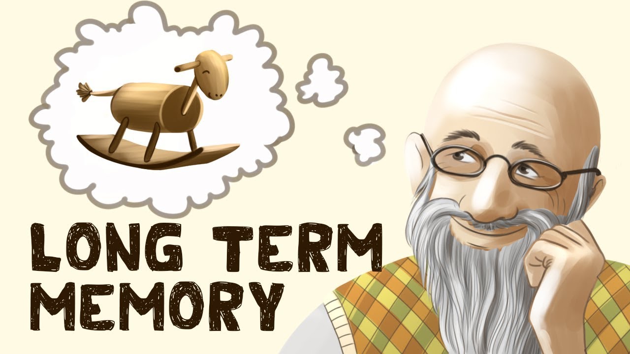 <p>Longterm memory</p>