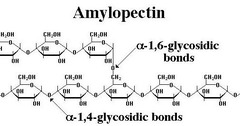 <p>Multiple monosaccharides connected by glycosidic bond. Starch (glucose+glucose a-1,4 and a-1,6), glycogen (glucose+glucose a-1,4 and a-1,6), cellulose and chitin (b-1,4)</p>