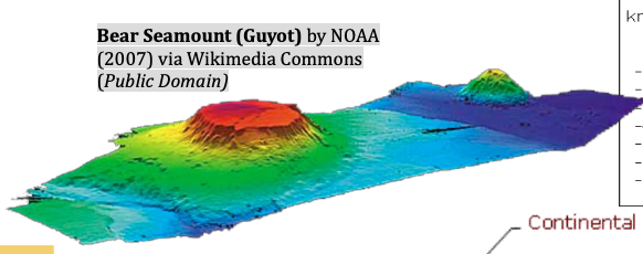 <p>flat-topped seamount</p>