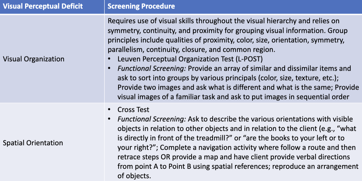 <p>visual perceptual screening</p>