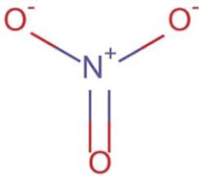 <p>Nitrate group and 2’ amines</p>
