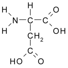 <p>(Asp, D) Acidic, negatively charged</p>