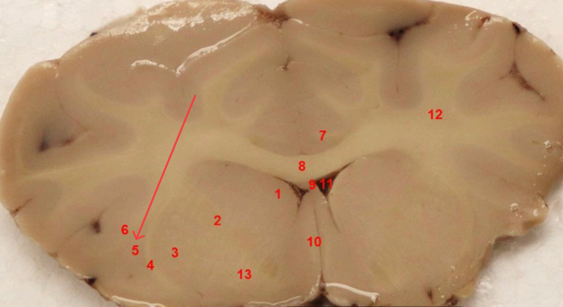 <p>what is this </p>