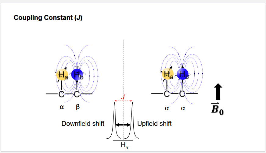 <p>N+1, but the more neighboring hydrogens, the more deshielded the Ha is, meaning that it is shifted slightly downfield.</p>