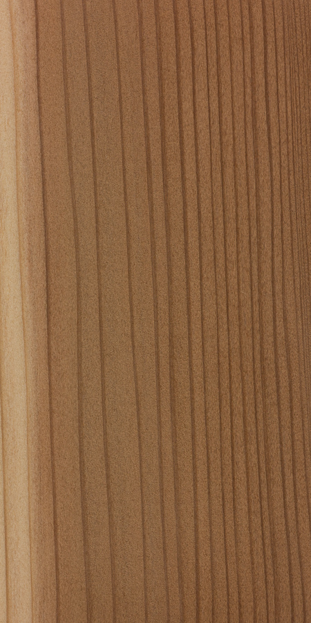 <p>Resin Canals Absent </p><p>distinct springwood and summerwood </p><p>heartwood dark red-brown, coarse texture </p><p>wood light weight, soft (indent w/ thumbnail) </p><p>often tight annual rings </p>