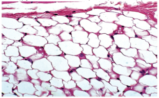<p>Slide 21</p>