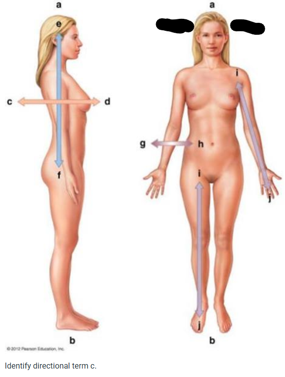 term image