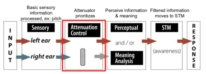 <p>Weakened but still processed</p>