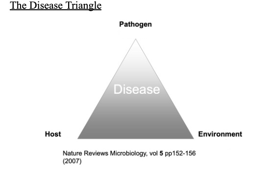 <p>Fill in the blanks in the disease triangle.</p>