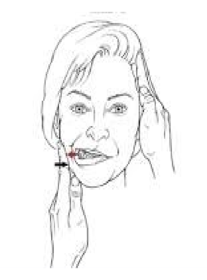 <p>• Resistance is applied against lateral jaw movement to assess the pterygoids on the opposite side</p>