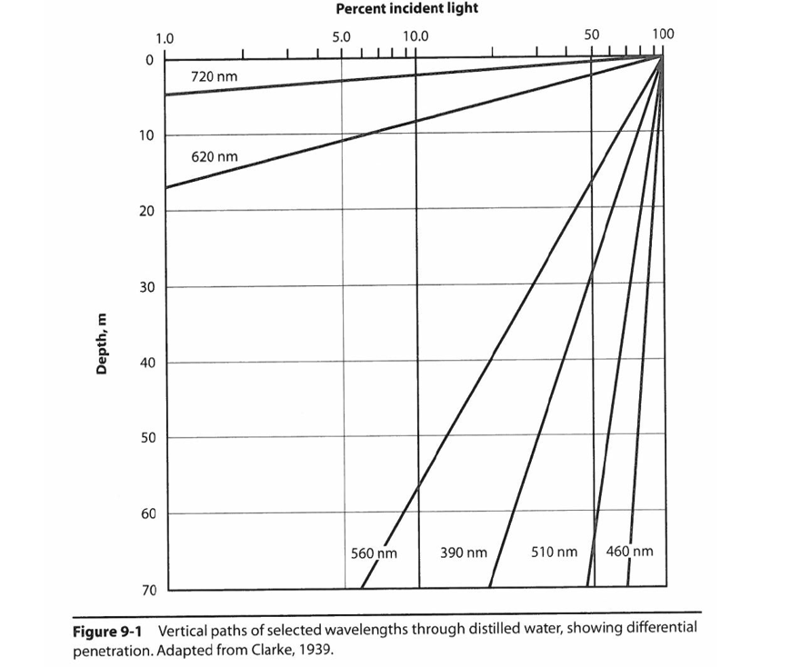 <p>Explain what the fuckkk is going on in this graph</p>