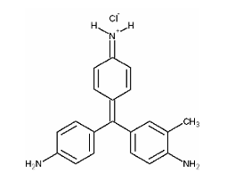 <p>[TRIPHENYLMETHANE DYES]</p><p>a. Gentian Violet</p><p>b. Basic Fuchsin</p><p>c. Methylene blue</p>