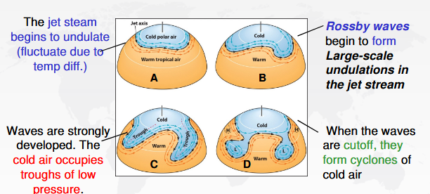 <p>These are waves that interfere with the smooth flow of the jet streams. These waves start out small due to temp. differences, the corrilis force, and eddies, which break the flow then the waves increase in amplitude forming troughs and ridges and they can even cuttof parts of the jet stream forming cyclones</p><p>These can cause storms, heat waves, and cold outbreaks</p>