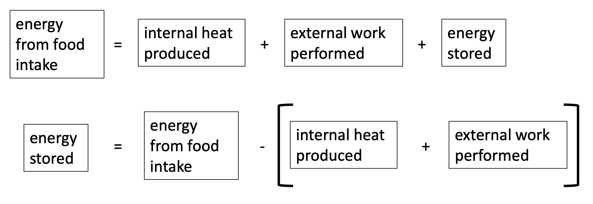 <p><strong>-Internal heat:</strong> produced by metabolic processes and other activities that generate heat as a byproduct</p><p><strong>-External work:</strong> energy used to move objects, using skeletal muscle</p>