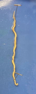 <p>What is this? What phylum? What is the hook at the bottom?</p>