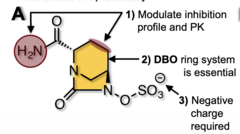 <p>DBO ring is essential, a negative charge is required, and substituent changes modify β-lactamase inhibition and PK</p>