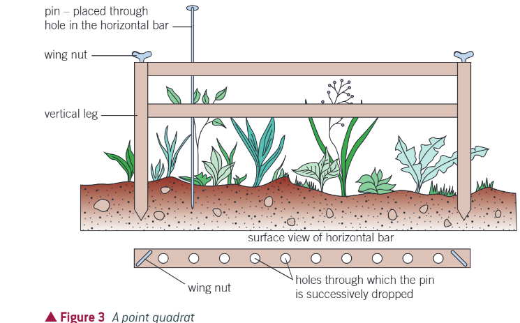 <ul><li><p>Consist of frame containing horizontal bar</p></li><li><p>At set intervals along bar, long pins can be pushed thru to reach ground</p></li><li><p>Each species of plant pin touches is recorded</p></li></ul><p></p>