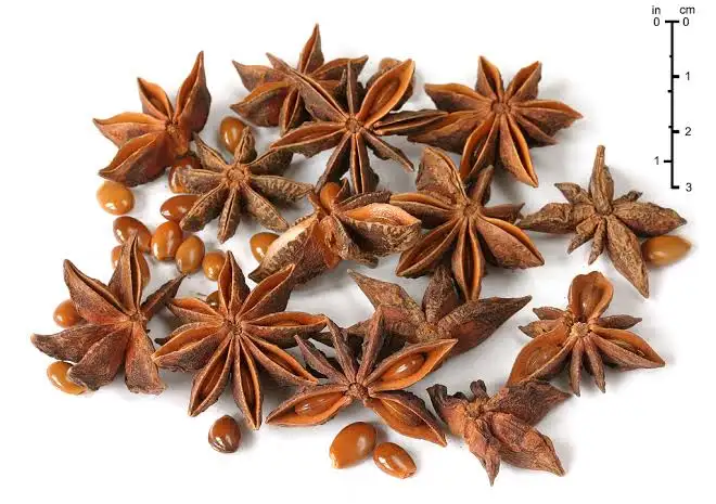 <p>Japanese Star anise </p>