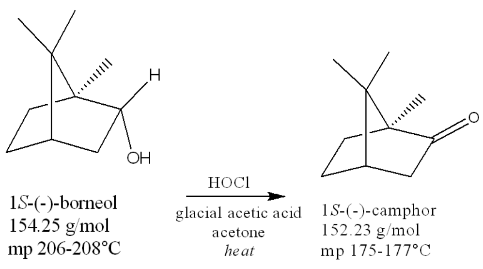 <p>if you start with 0.35g borneol, what’s the theoretical yield of camphor?</p>