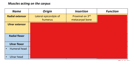 <p>Q: The function of the radial extensor is as an extensor and …… of the carpal joint. </p><p>A. Flexor </p><p>B. Fixator </p><p>C. Abductor </p><p>D. Adductor</p>