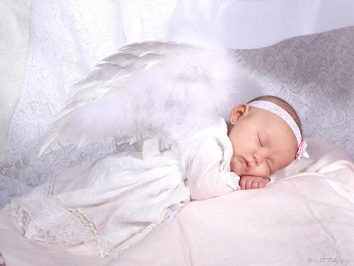 <p>innocent and naive</p>