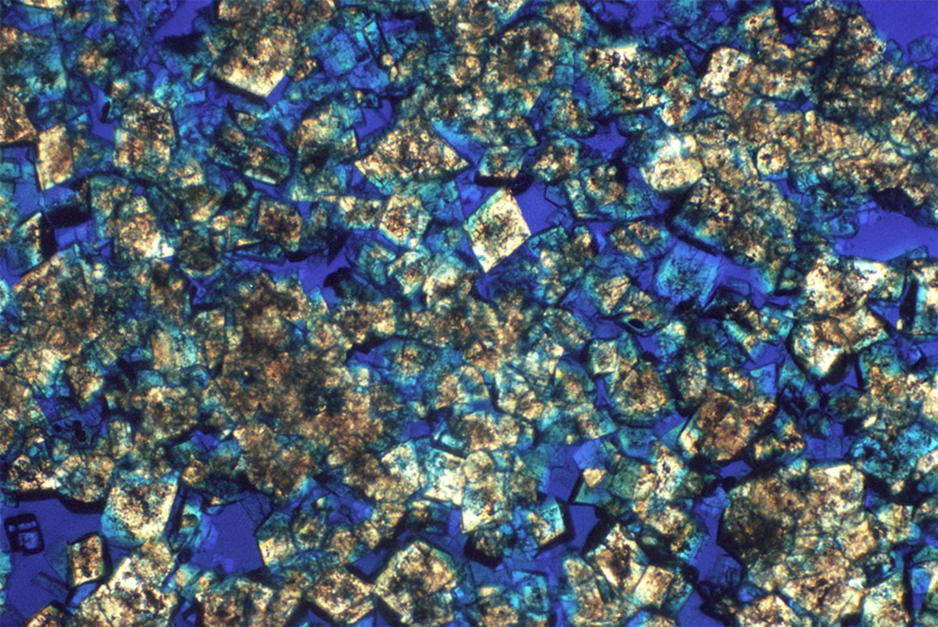 <p><span>&nbsp;2CaCO<sub>3</sub> + Mg<sup>2+</sup> à CaMg(CO<sub>3</sub>)<sub>2</sub> + Ca<sup>2+</sup></span></p>