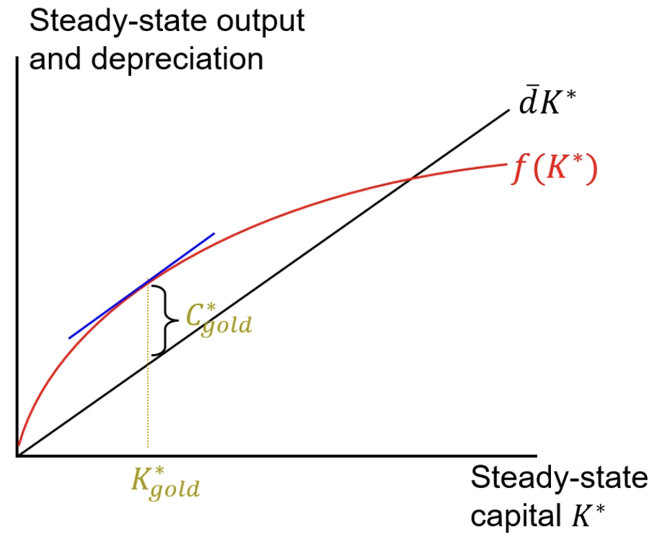 <p>C* is where the slope of the production function equals the depreciation rate</p>